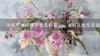 开花店要从哪里批发鲜花？云南鲜花批发渠道在哪里找？