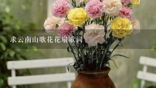 求云南山歌花花扇歌词