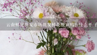 云南鲜花批发市场批发鲜花便宜吗？什么平 台好1点？