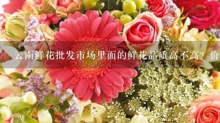 云南鲜花批发市场里面的鲜花品质高不高？价格贵吗