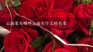 云南菜有哪些云南有什么特色菜