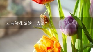 云南鲜花饼的广告语？