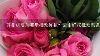 开花店要从哪里批发鲜花？云南鲜花批发渠道在哪里找？