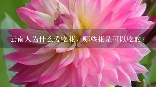 云南人为什么爱吃花，哪些花是可以吃的？