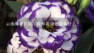 云南的鲜花除了做鲜花饼还能做什么?