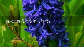 满天星鲜花用水喷花好吗？