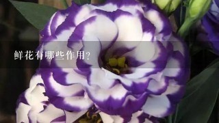 鲜花有哪些作用？