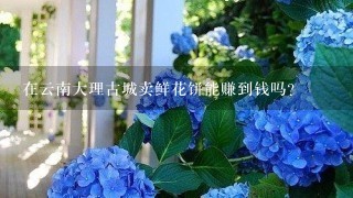 在云南大理古城卖鲜花饼能赚到钱吗？