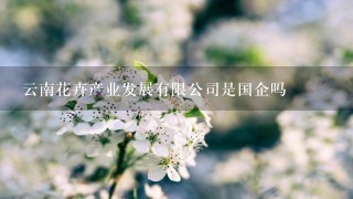 云南花卉产业发展有限公司是国企吗