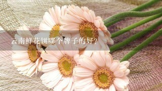 云南鲜花饼哪个牌子的好？