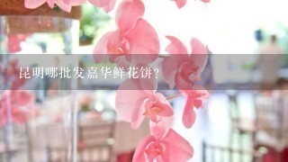 昆明哪批发嘉华鲜花饼？