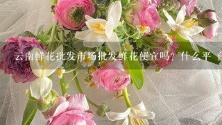 云南鲜花批发市场批发鲜花便宜吗？什么平 台好1点？