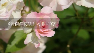 《云南鲜花饼》习作450字