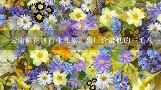 云南鲜花饼行业乱象：出厂价最低的3毛81个！影响