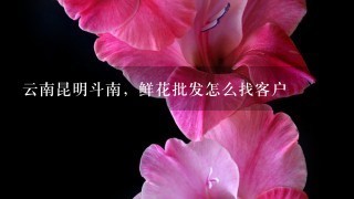 云南昆明斗南，鲜花批发怎么找客户