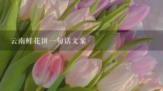 云南鲜花饼1句话文案