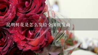 昆明鲜花是怎么发给全国批发商