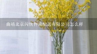 曲靖北京闪快物流配送有限公司怎么样