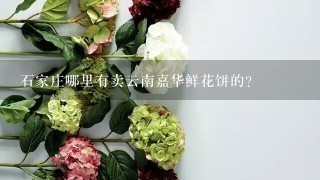 石家庄哪里有卖云南嘉华鲜花饼的？