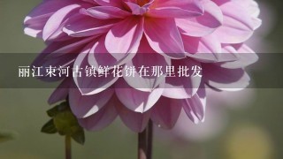 丽江束河古镇鲜花饼在那里批发