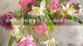 昆明康云特鲜花食品有限公司真的是19块钱1个小时吗