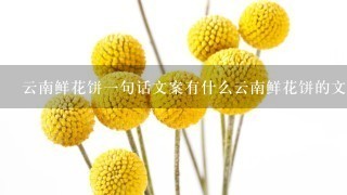 云南鲜花饼1句话文案有什么云南鲜花饼的文案