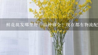 鲜花批发哪里好？品种够全？现在都有物流配送吗？