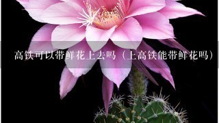 高铁可以带鲜花上去吗（上高铁能带鲜花吗）