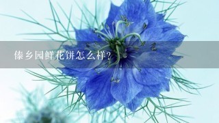 傣乡园鲜花饼怎么样？