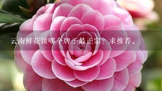 云南鲜花饼哪个牌子最正宗？求推荐。