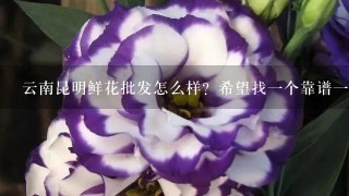 云南昆明鲜花批发怎么样？希望找1个靠谱1点的供应商