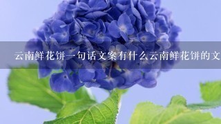 云南鲜花饼1句话文案有什么云南鲜花饼的文案