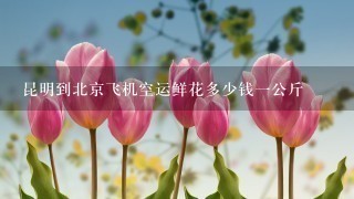 昆明到北京飞机空运鲜花多少钱1公斤