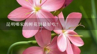 昆明哪家的鲜花饼最好吃？