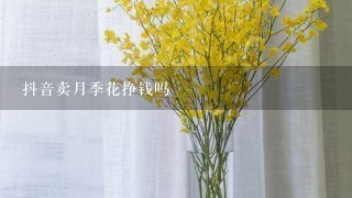 抖音卖月季花挣钱吗