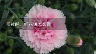 蛋黄酥，鲜花饼怎么做