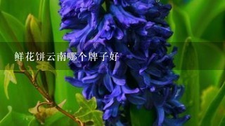 鲜花饼云南哪个牌子好