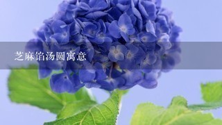 芝麻馅汤圆寓意