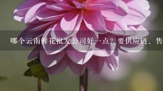 哪个云南鲜花批发公司好1点？要供应链、售后完善1点的