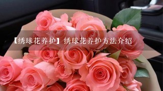 【绣球花养护】绣球花养护方法介绍