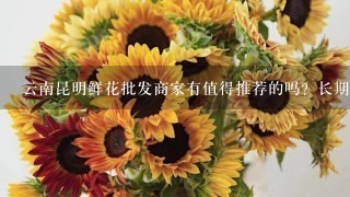 云南昆明鲜花批发商家有值得推荐的吗？长期合作