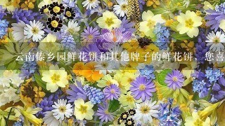 云南傣乡园鲜花饼和其他牌子的鲜花饼，您喜欢哪1个？