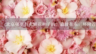 北京哪里有卖鲜花种子的？最好在东3环附近。