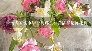 云南省玉溪市华宁县哪里有卖潘祥记鲜花饼