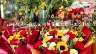 云花朵朵平台的云南鲜花批发质量怎么样？有没有人买过，求真实评价