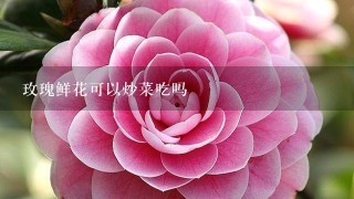 玫瑰鲜花可以炒菜吃吗