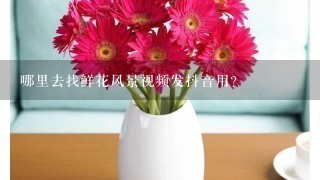 哪里去找鲜花风景视频发抖音用?