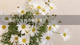 云南大学玫瑰花酱在哪卖