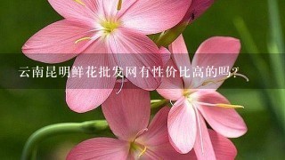 云南昆明鲜花批发网有性价比高的吗？