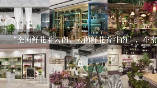 “全国鲜花看云南，云南鲜花看斗南”，斗南花市距昆明市区约18公里，是亚洲最大的鲜花交易市场，也是中国最大的花卉交易市场...